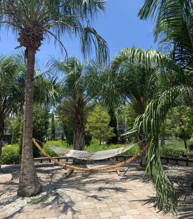 Hammocks on patio with palm trees overhead