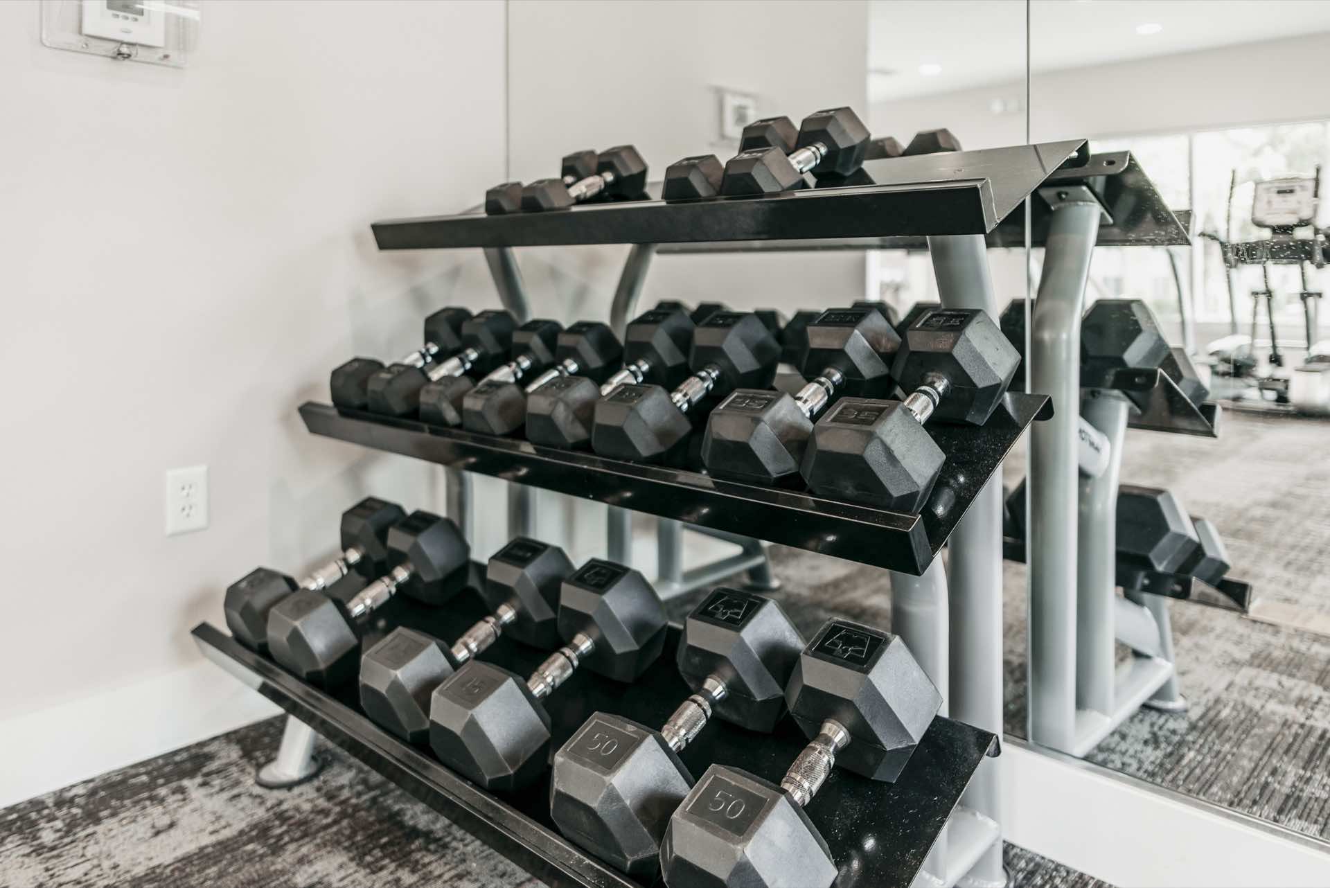 close-up view of dumbbell set in fitness room