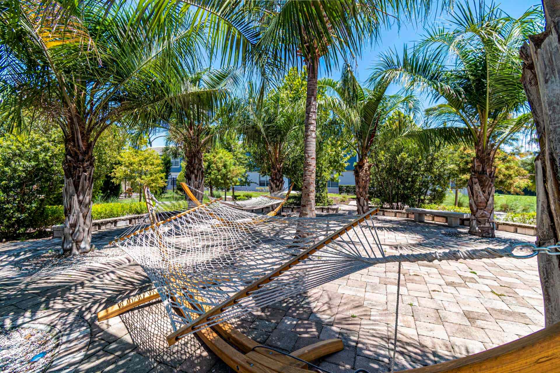 two modern style hammocks in area with palm trees