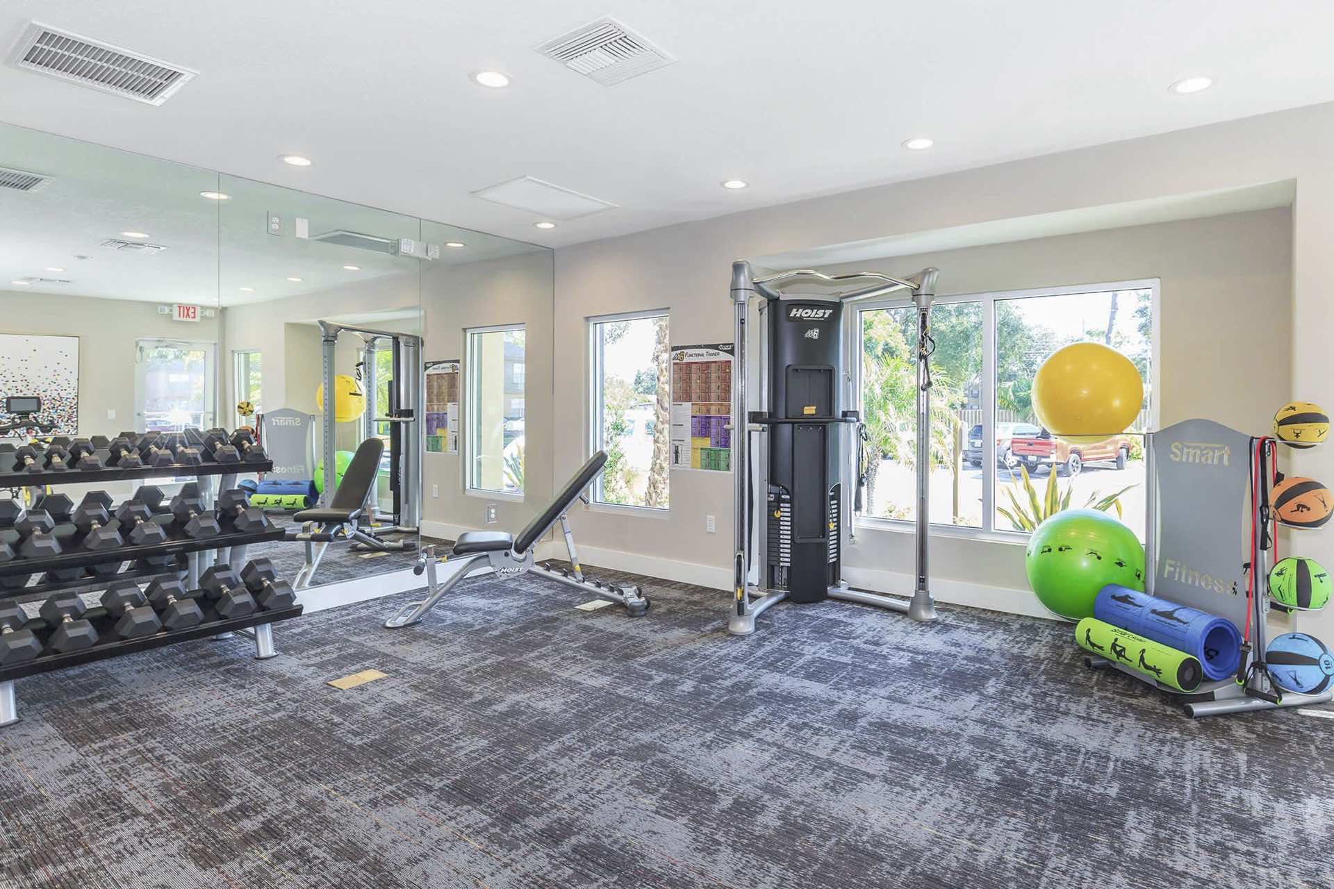 fitness center with free weights, modern machines, medicine balls and more